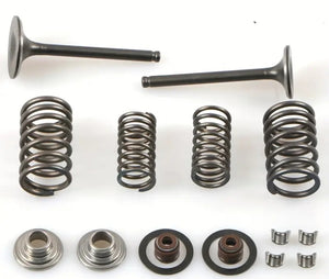 Kit de 16 válvulas de motor de motocicleta de 125 cc, juego de válvulas de admisión y escape de acero con resortes y sellos