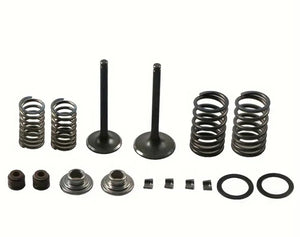 Kit de 16 válvulas de motor de motocicleta de 125 cc, juego de válvulas de admisión y escape de acero con resortes y sellos